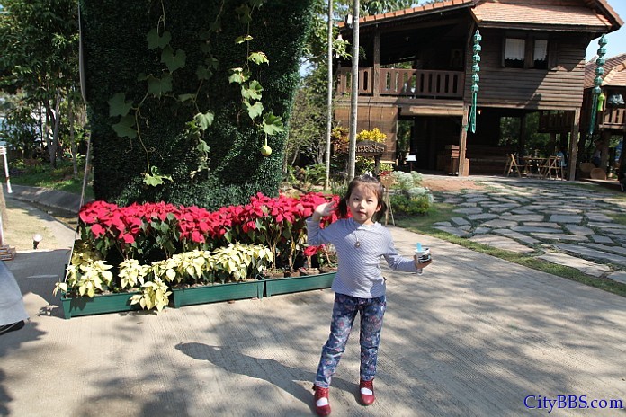 ChiangMai_Royal_Flower_Flora